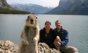 30 Hilarious Animal Photobombs Caught On Camera Prove We Are Not Alone In Our Search For The Ultimate Selfie. #26 Is Definitely My Favorite!