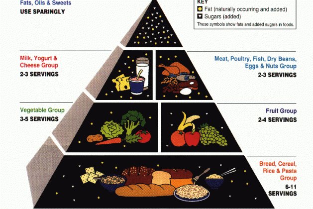 Food Pyramid 101 (Plus a Healthy Menu Sample)